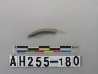 藏品(灰色泥質陶環殘件)的圖片